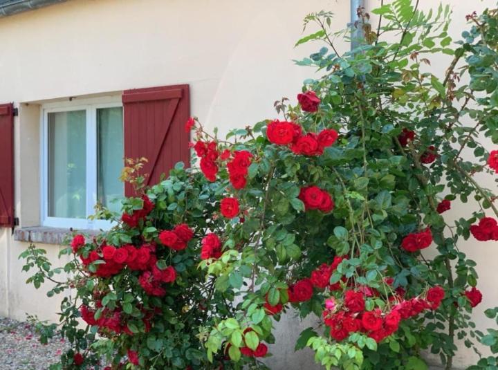 Chambres D'Hotes Les Roches Noires ทรูวิลล์-ซูร์-แมร์ ภายนอก รูปภาพ
